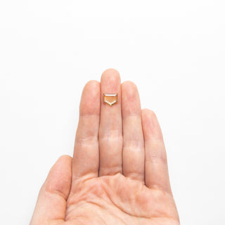 1.98ct 9.27x7.95x2.08mm Pentagon Portrait Cut Sapphire 22434-85