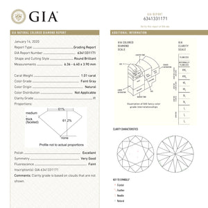 1.01ct 6.40x6.36x3.90mm GIA Faint Grey Round Brilliant 19000-01 - Misfit Diamonds