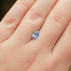Shield shaped blue sapphire on hand