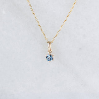 Blue Montana Sapphire Charm Necklace front view