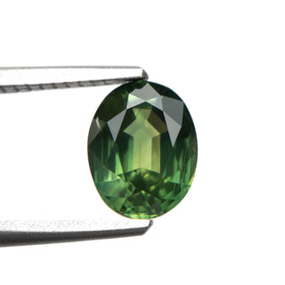 Green oval cut sapphire on white background, held by tweezers