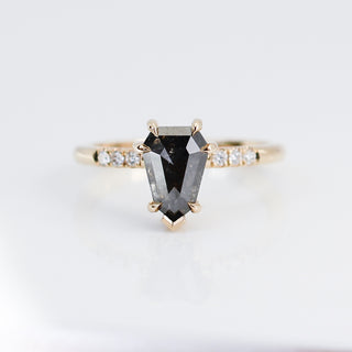 Shield Cut Salt And Pepper Diamond Ring detail front view